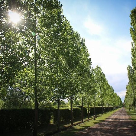 Cabanas El Pueblo Escondido San Rafael (Mendoza) Bagian luar foto